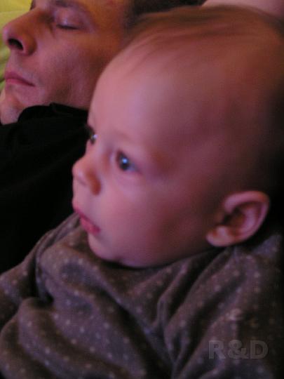 Imme 19 oktober 2006 (2).JPG